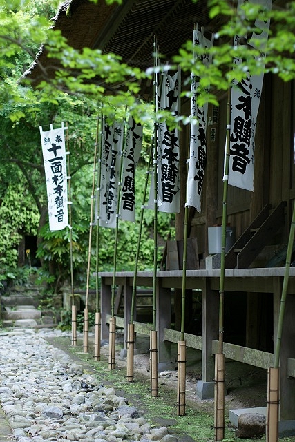 新緑の報国寺と杉本寺_b0145398_0195078.jpg