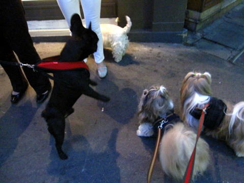 c0090198_6184287.jpg