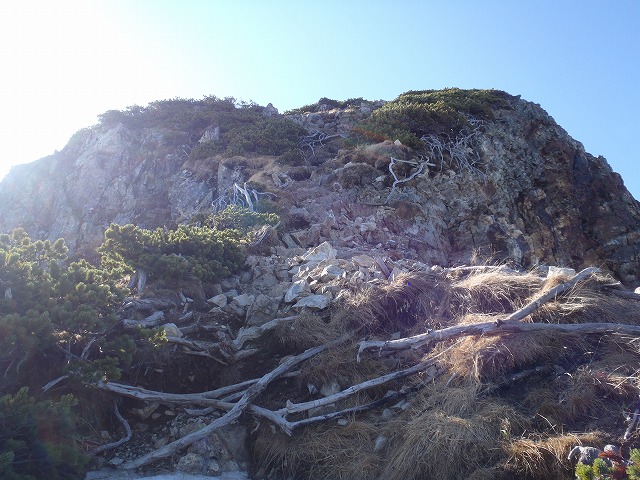 c0147398_23503471.jpg