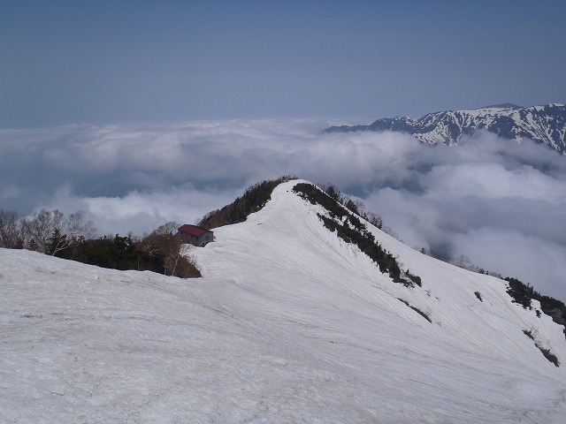 c0147398_23551031.jpg
