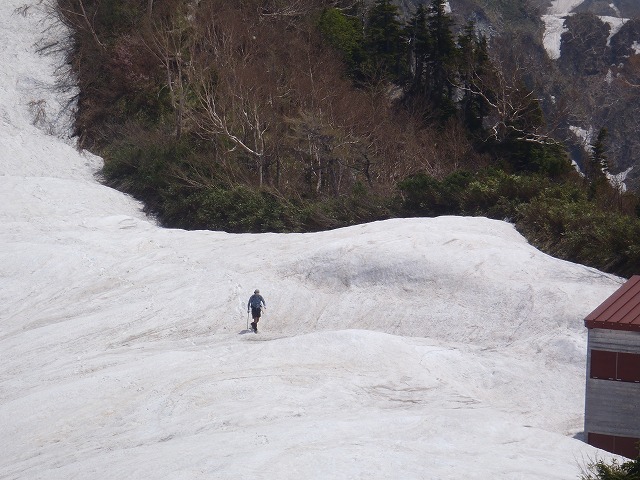 c0147398_2356114.jpg