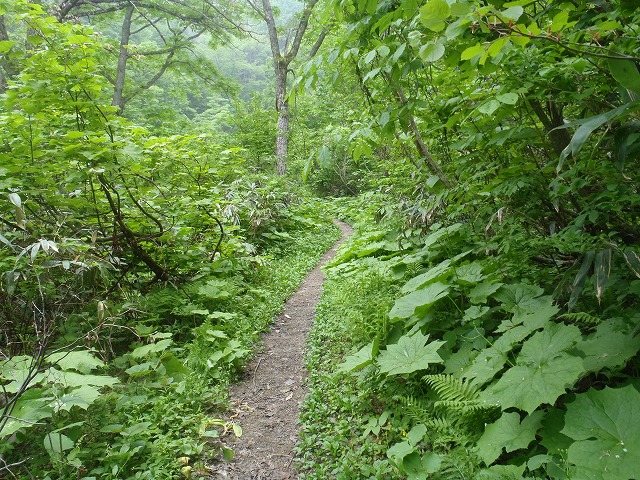 c0147398_23565580.jpg