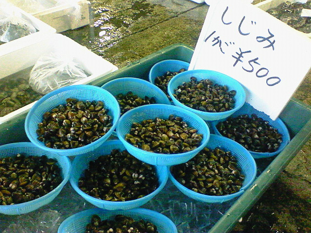 f0175403_1043519.jpg