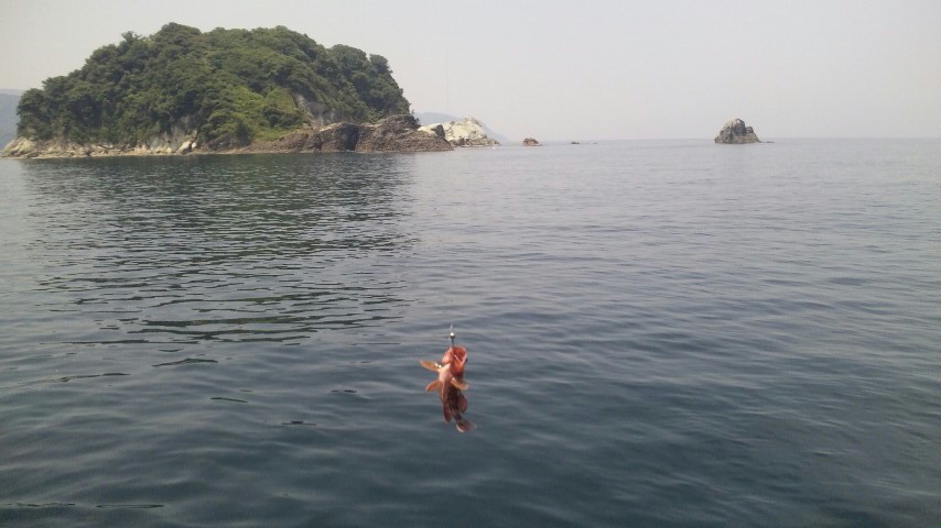 f0035404_13334414.jpg