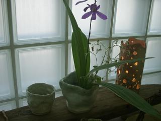 b0125311_17502657.jpg