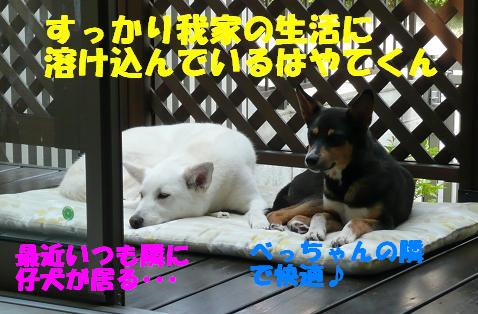 f0121712_23313886.jpg