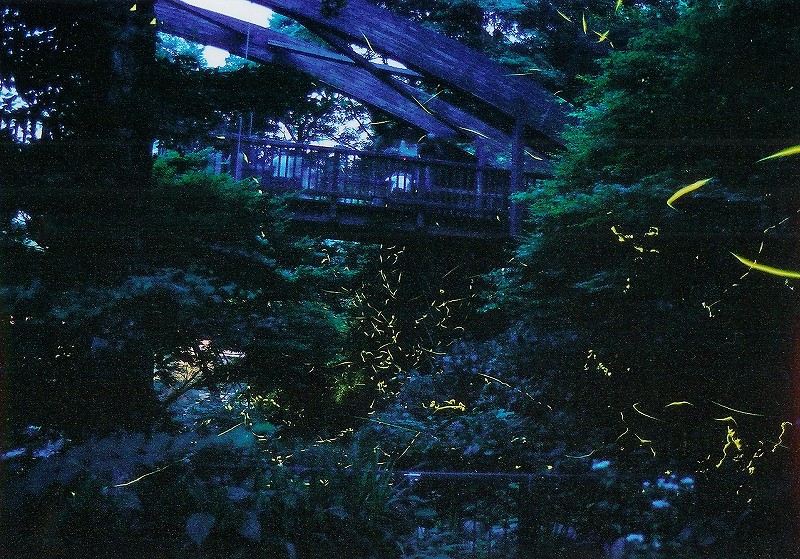 f0182513_12375226.jpg
