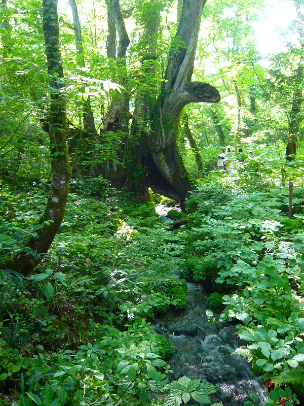 f0223914_13181296.jpg