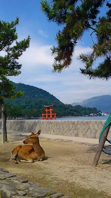 半日だけの宮島一人旅：その②海沿いを歩いて_e0097018_21212548.jpg