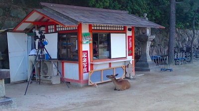 半日だけの宮島一人旅：その②海沿いを歩いて_e0097018_21223931.jpg