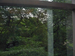 b0188121_2243356.jpg