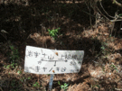 f0193521_1353985.gif