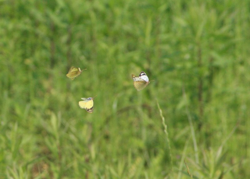 f0031423_12394985.jpg