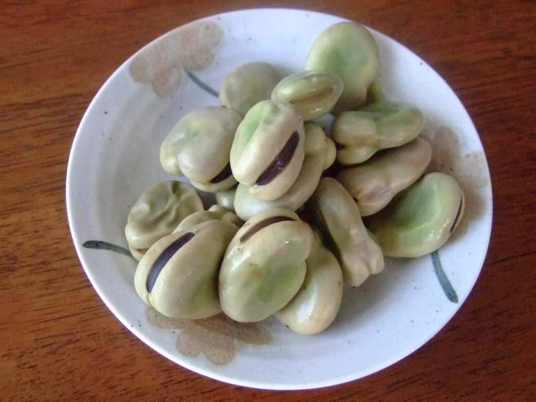 5月初旬に植えた野菜は......._b0137932_646488.jpg