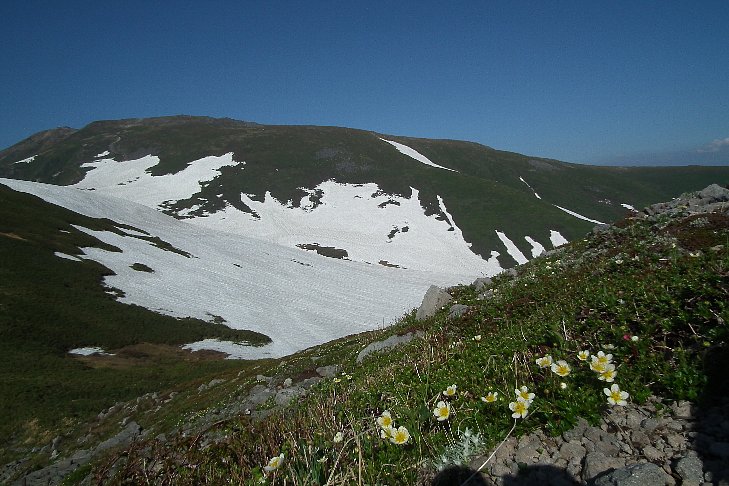 f0118332_94691.jpg