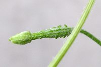 f0108133_23362064.jpg