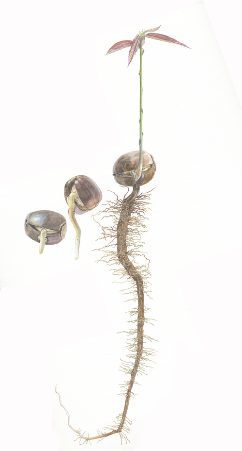 c0177135_15315216.jpg