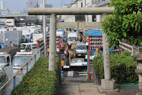 朝っぱらから寿司を食らう＠築地市場♪_e0057035_1863359.jpg