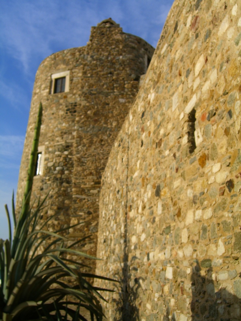 c0170236_859823.jpg