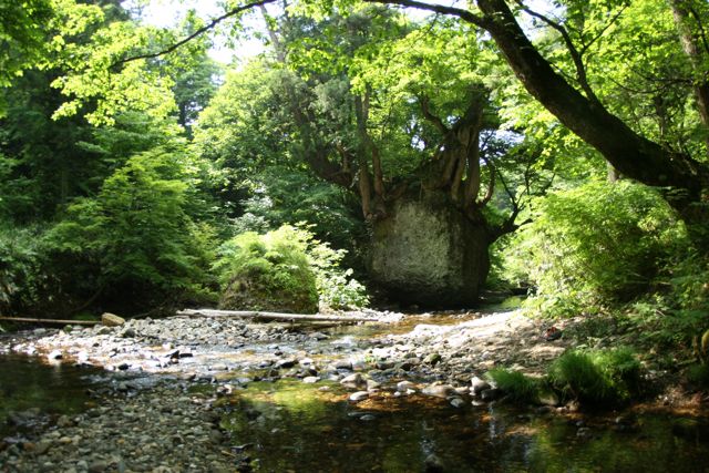 b0031538_0131673.jpg