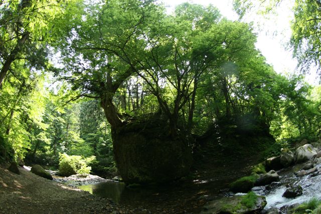 b0031538_0195445.jpg