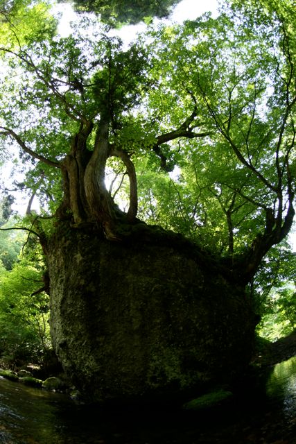 b0031538_0231610.jpg
