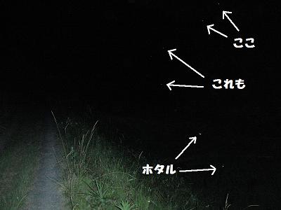 f0186040_215777.jpg