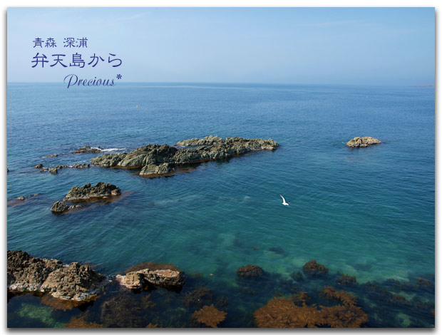 青森 15 弁天島 Precious 恋するカメラ 青森 15 弁天島 Precious 恋するカメラ