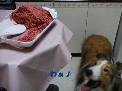 男はじっと我慢だワン♪_e0195743_226413.jpg