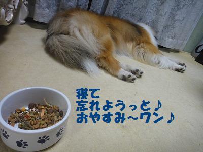 男はじっと我慢だワン♪_e0195743_2282567.jpg