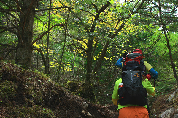 Fresh Green Hike In YATSUGATAKE vol.3_c0228945_23194042.jpg