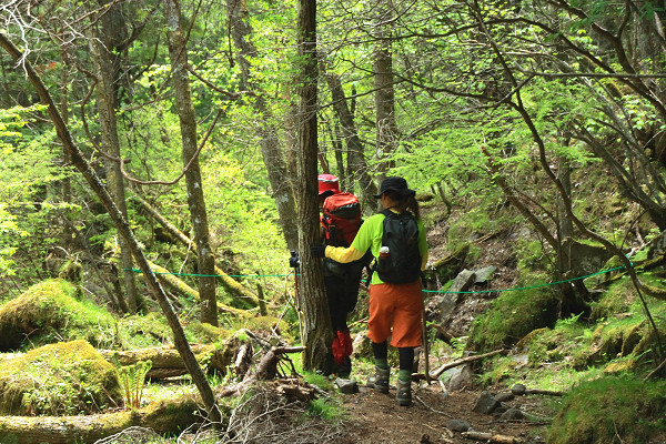 Fresh Green Hike In YATSUGATAKE vol.3_c0228945_23231716.jpg