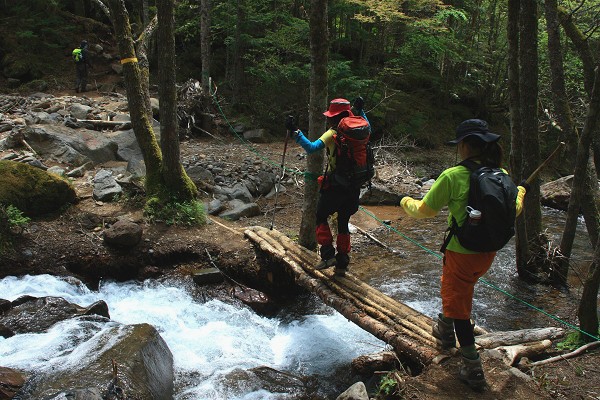 Fresh Green Hike In YATSUGATAKE vol.3_c0228945_23443945.jpg