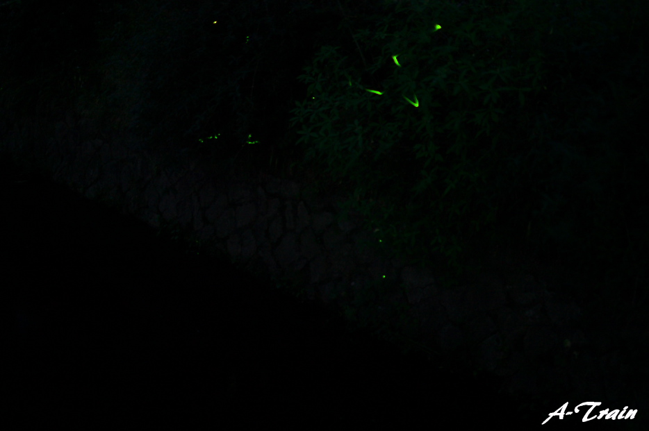 f0152550_17233976.jpg