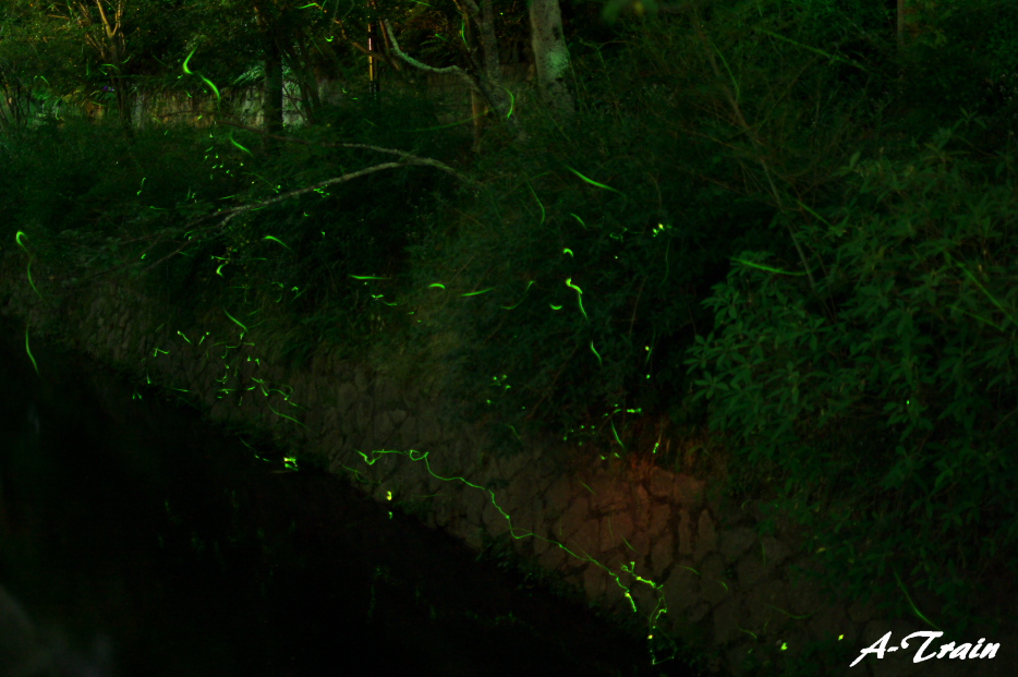 f0152550_17235938.jpg