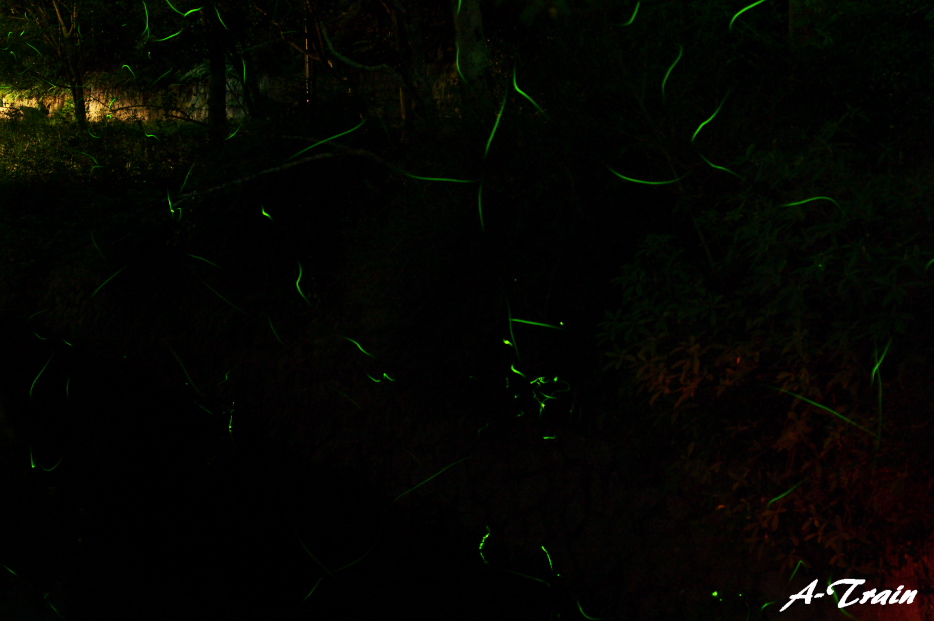f0152550_17241240.jpg