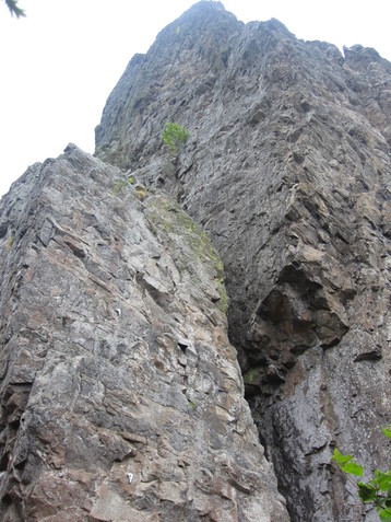 f0209354_18395326.jpg