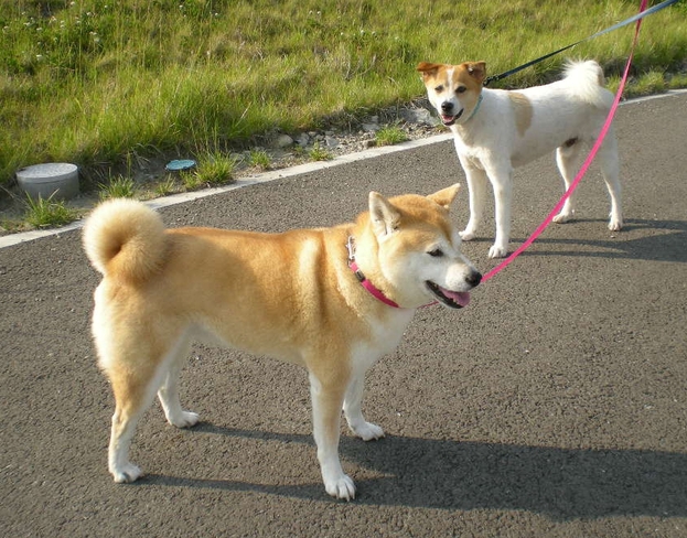 2010年6月13日(日)梅雨入りですって!_f0060461_11493064.jpg