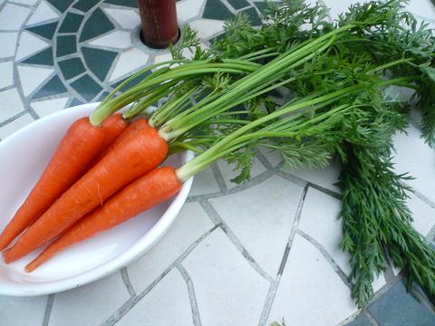 Farmer’s Market_a0160264_23183354.jpg