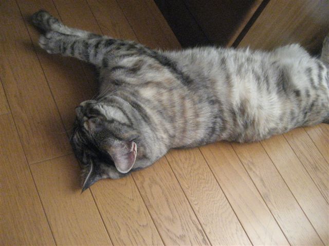 a0123465_024334.jpg
