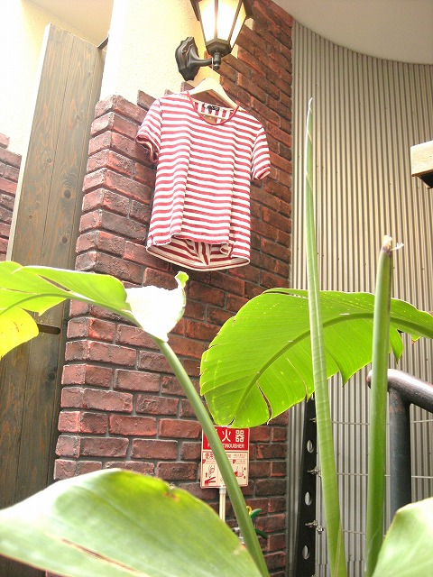 f0224266_16542915.jpg