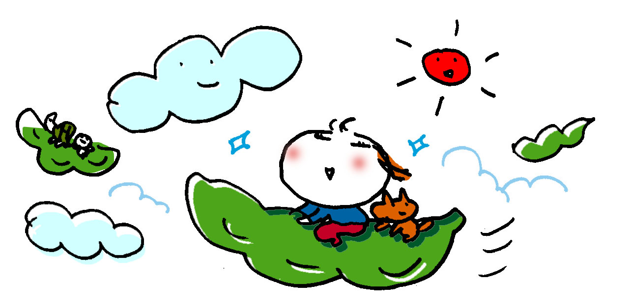 ソラマメの収穫 イラストレーター大橋明子のブログ