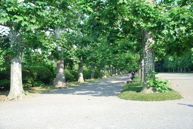 c0187781_11103792.jpg