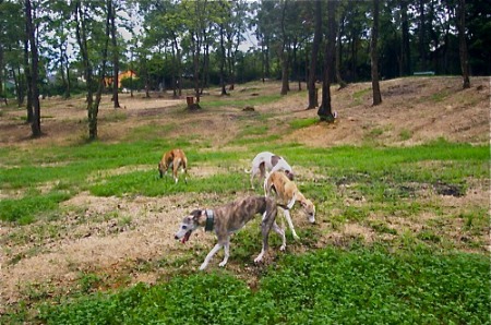 f0177788_13313829.jpg