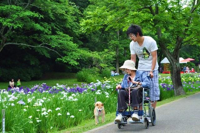 今日から2年目に突入です!_a0126590_11225156.jpg