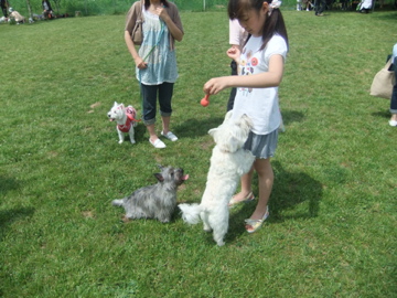 2010北海道ウエスティー オフ会!!_c0226202_2120384.jpg