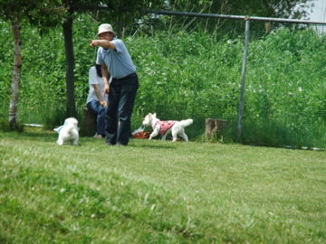 2010北海道ウエスティー オフ会!!_c0226202_21213563.jpg