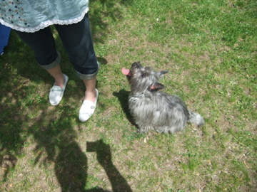 2010北海道ウエスティー オフ会!!_c0226202_218359.jpg
