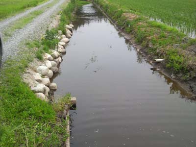 f0082402_20171783.jpg