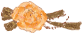a0116004_21541410.gif